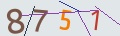 verifycode